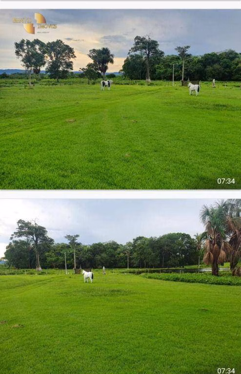 Fazenda de 182 ha em Jangada, MT