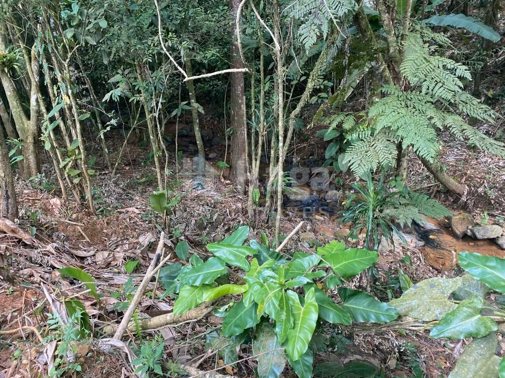 Farm of 3,800 m² in Canelinha, SC, Brazil
