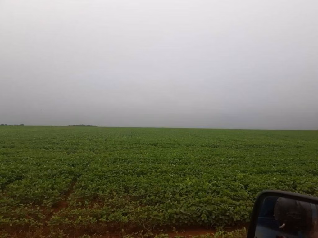Fazenda de 39.241 ha em Santa Terezinha, MT