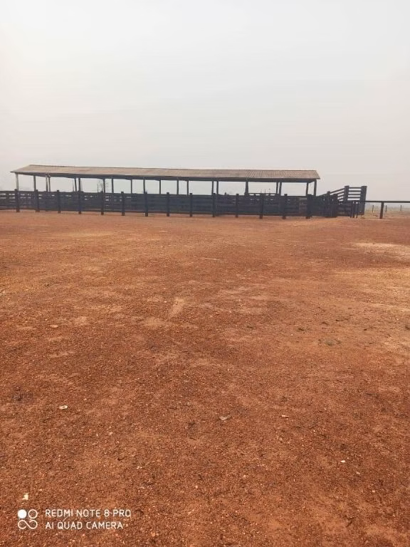 Fazenda de 39.241 ha em Santa Terezinha, MT