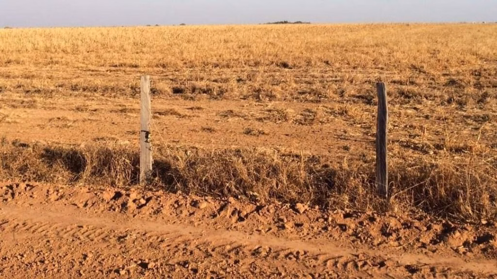 Fazenda de 39.241 ha em Santa Terezinha, MT