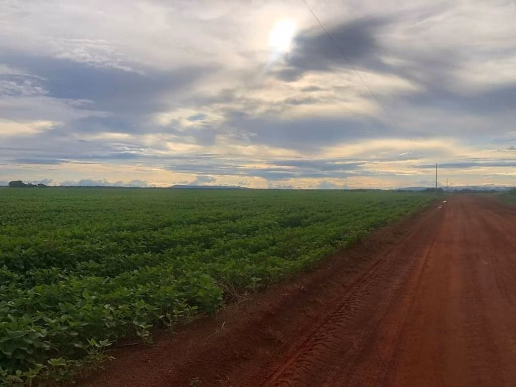 Fazenda de 39.241 ha em Santa Terezinha, MT