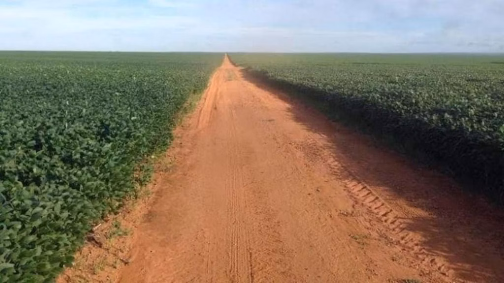 Fazenda de 39.241 ha em Santa Terezinha, MT
