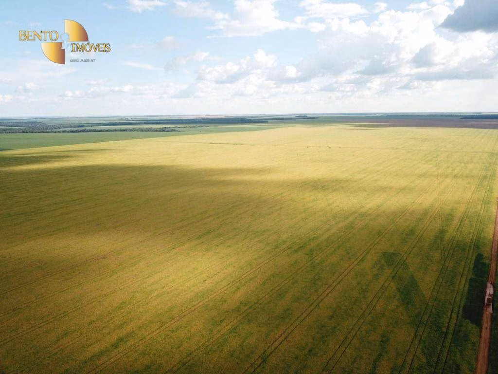 Fazenda de 5.555 ha em Colíder, MT