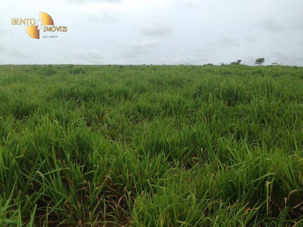 Fazenda de 5.555 ha em Colíder, MT