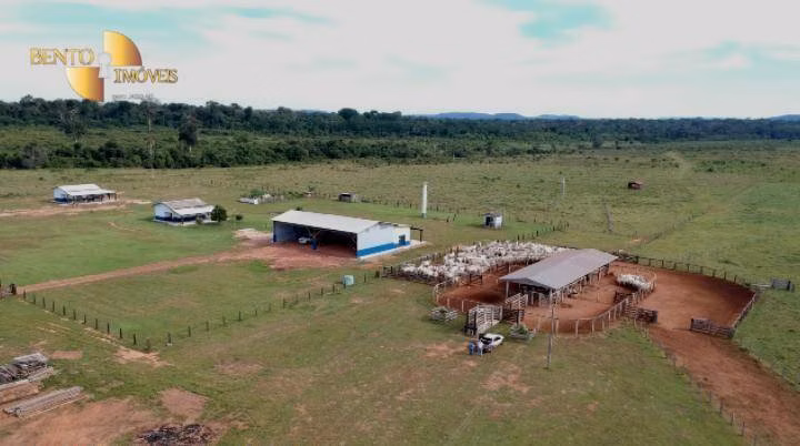 Fazenda de 5.555 ha em Colíder, MT