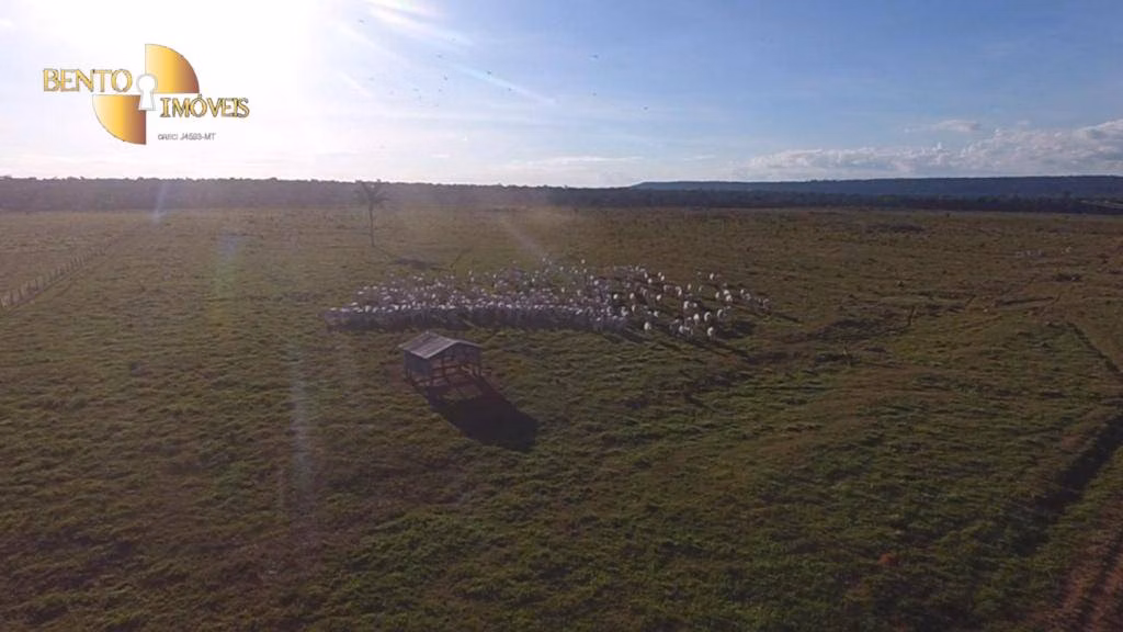 Fazenda de 5.555 ha em Colíder, MT