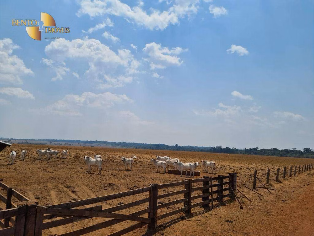 Fazenda de 5.555 ha em Colíder, MT