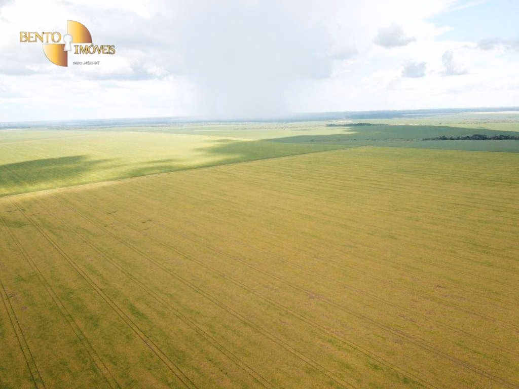 Fazenda de 5.555 ha em Colíder, MT