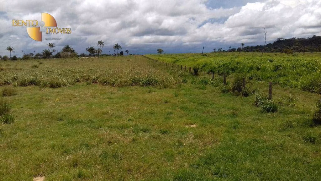 Fazenda de 5.555 ha em Colíder, MT