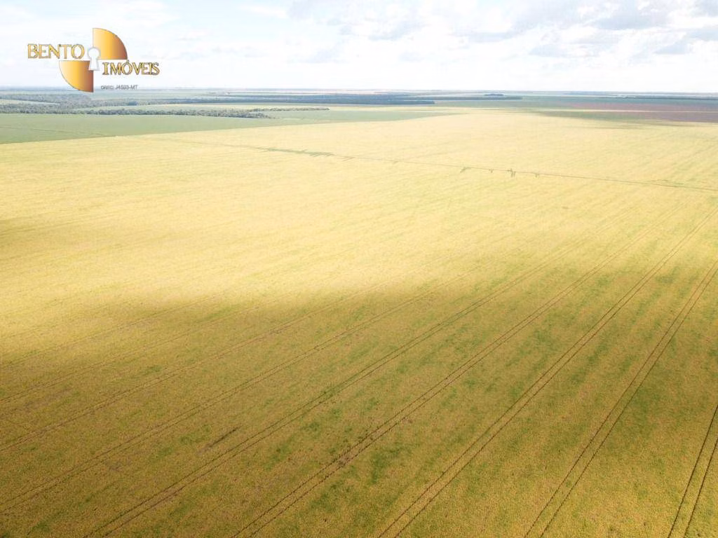 Fazenda de 5.555 ha em Colíder, MT