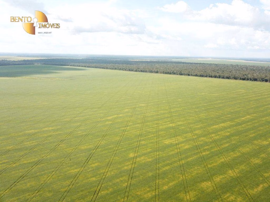 Fazenda de 5.555 ha em Colíder, MT