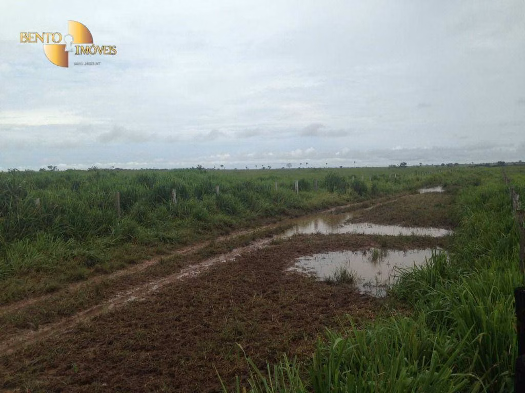 Fazenda de 5.555 ha em Colíder, MT