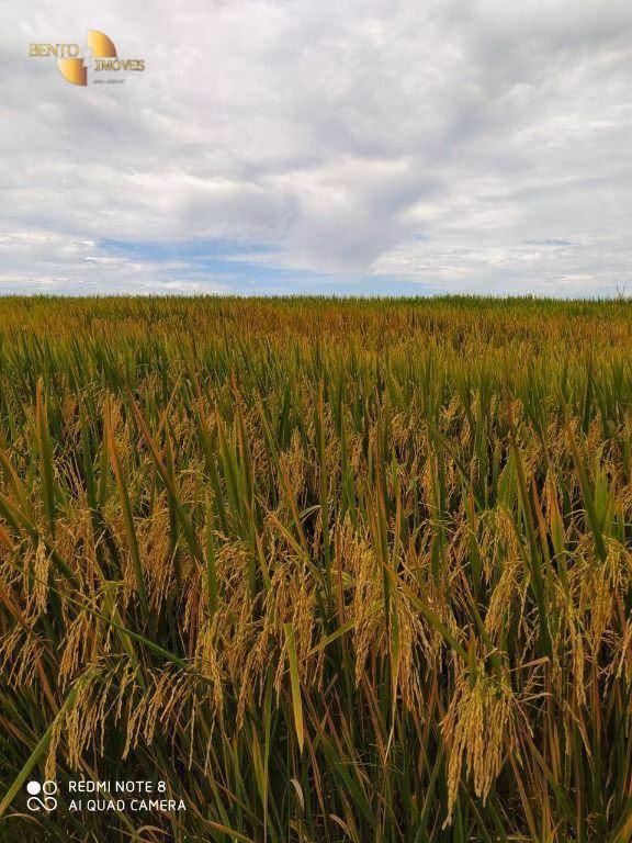 Fazenda de 5.555 ha em Colíder, MT