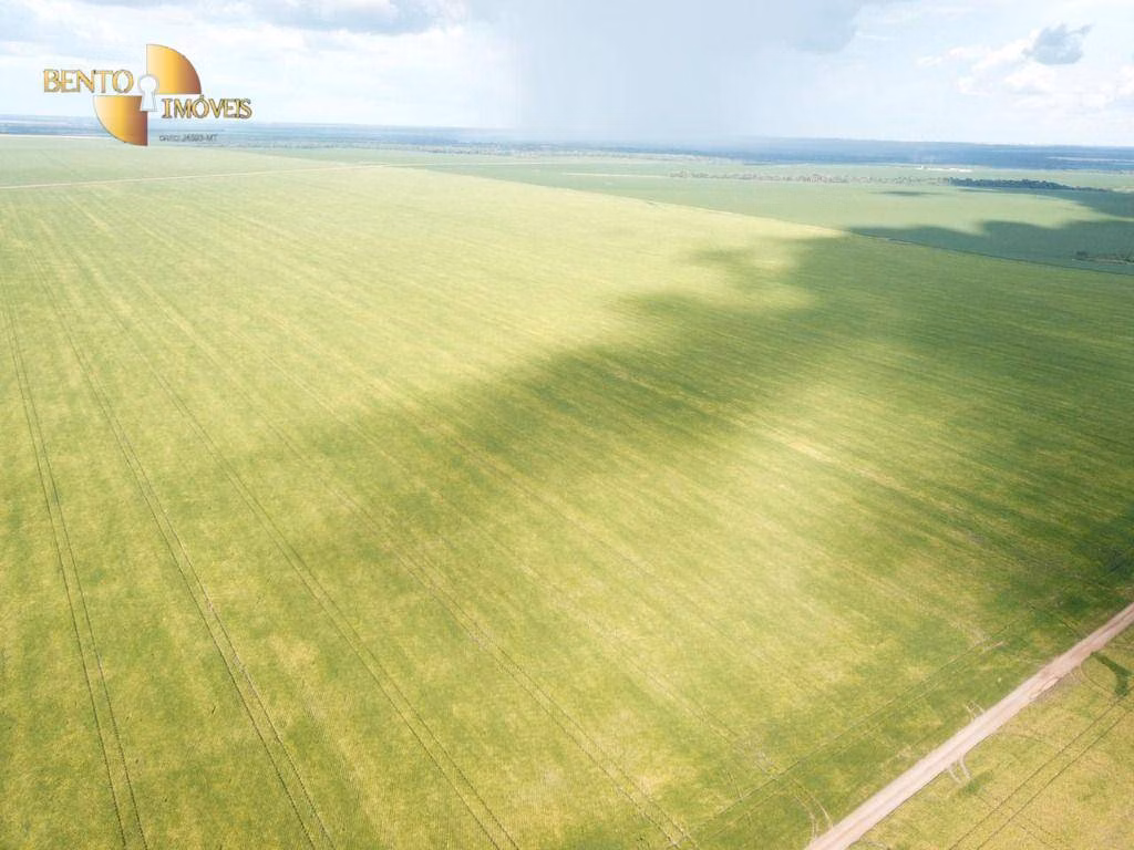 Fazenda de 5.555 ha em Colíder, MT