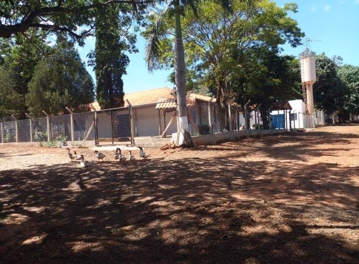 Fazenda de 605 ha em Rosana, SP