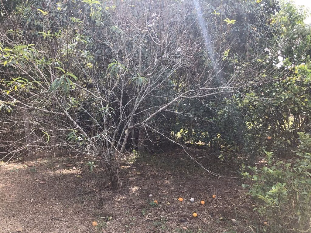 Chácara de 2.400 m² em Pouso Alegre, MG