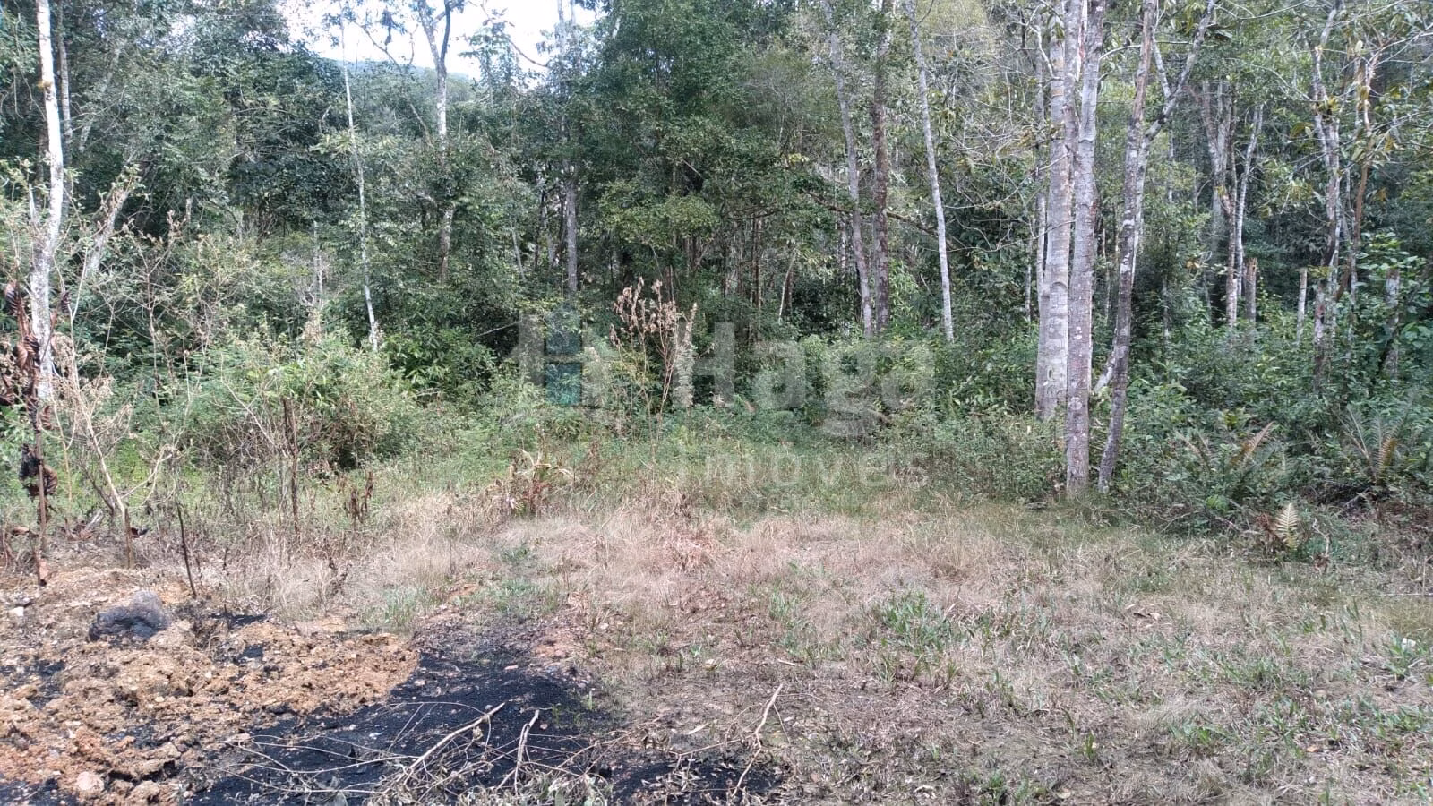 Farm of 4 acres in Itajaí, SC, Brazil
