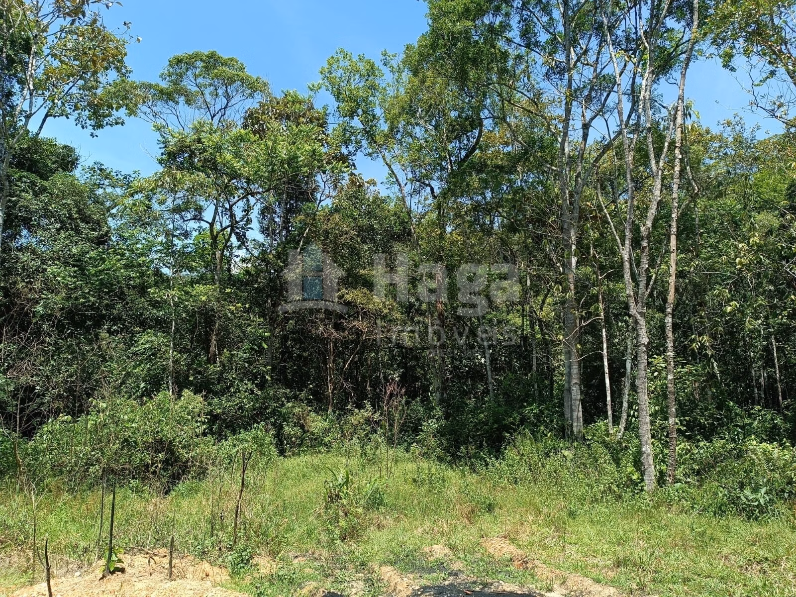 Farm of 4 acres in Itajaí, SC, Brazil