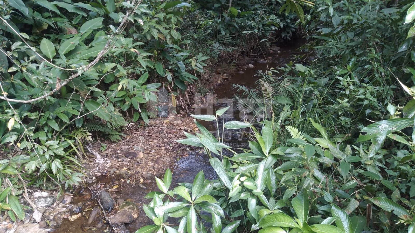 Farm of 4 acres in Itajaí, SC, Brazil