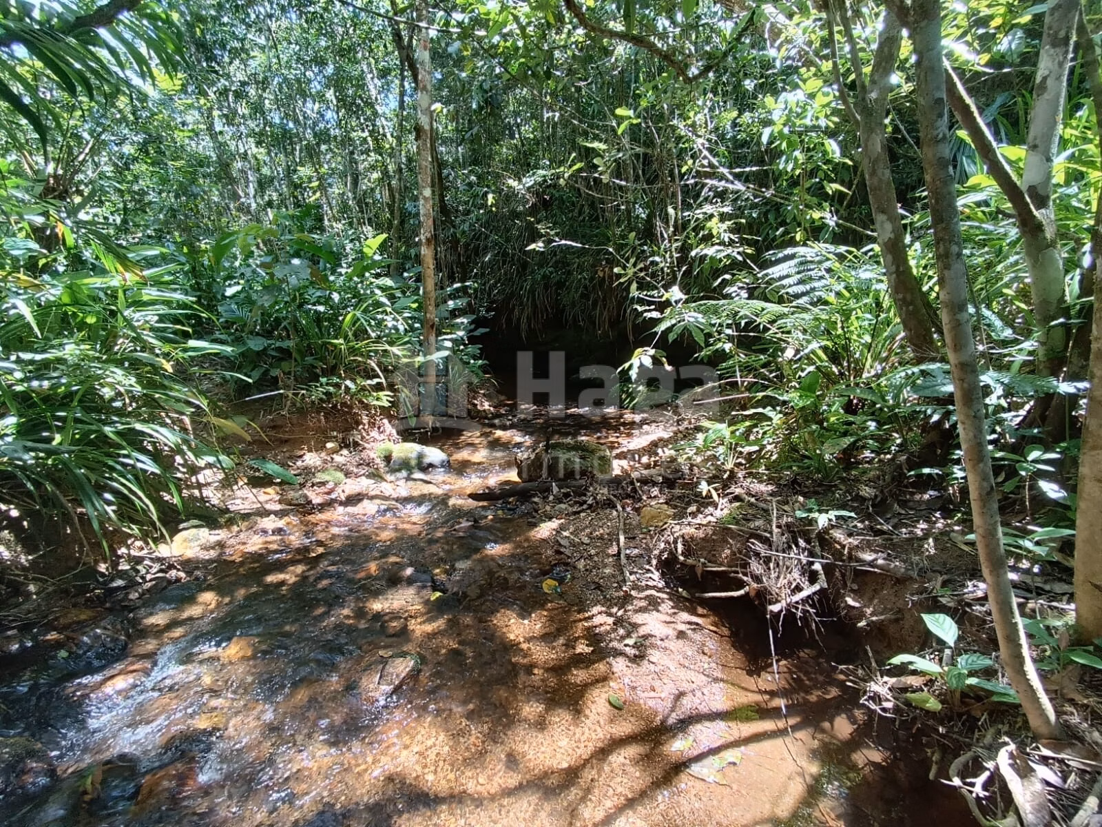 Farm of 4 acres in Itajaí, SC, Brazil