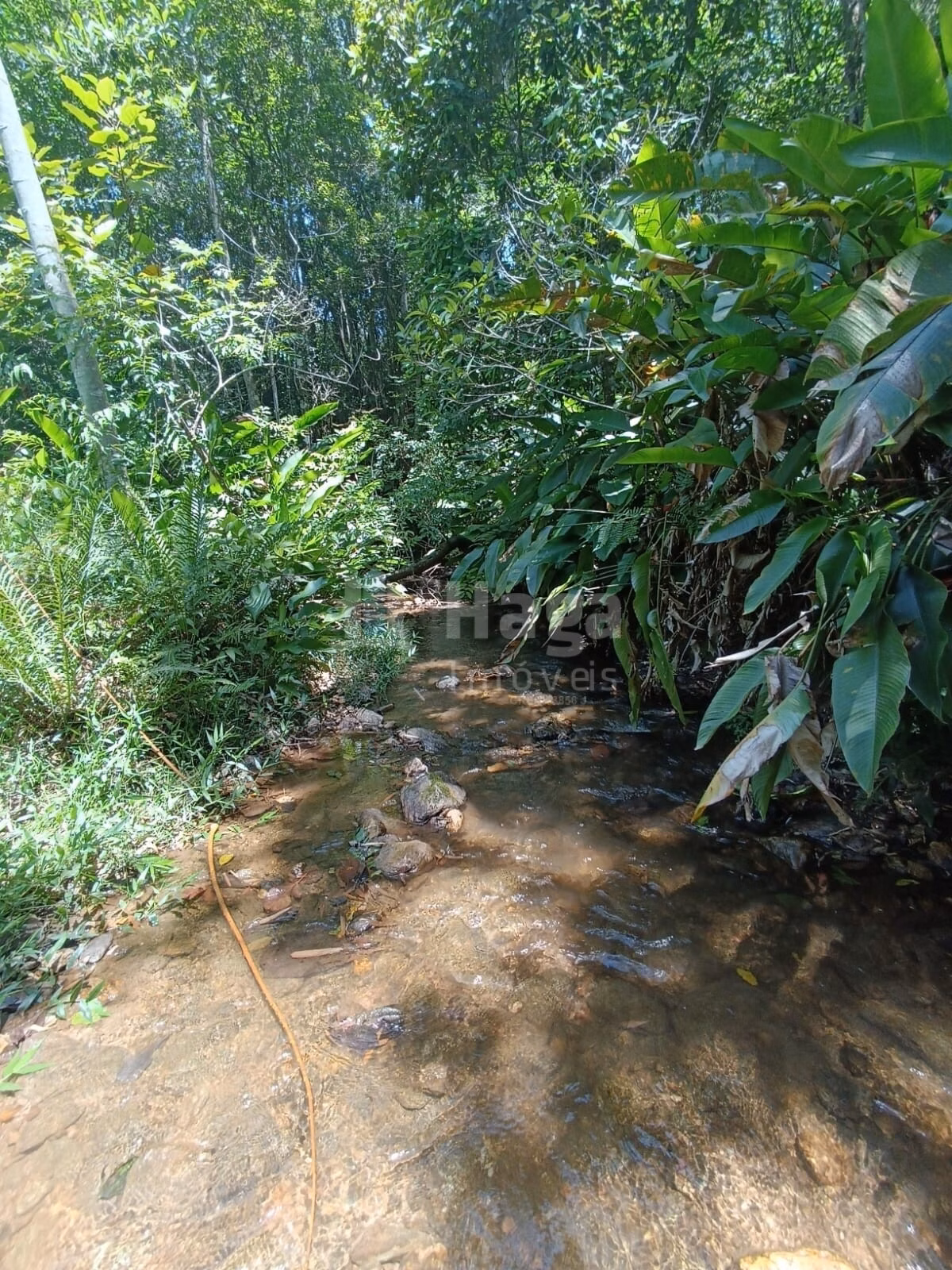 Fazenda de 2 ha em Itajaí, SC