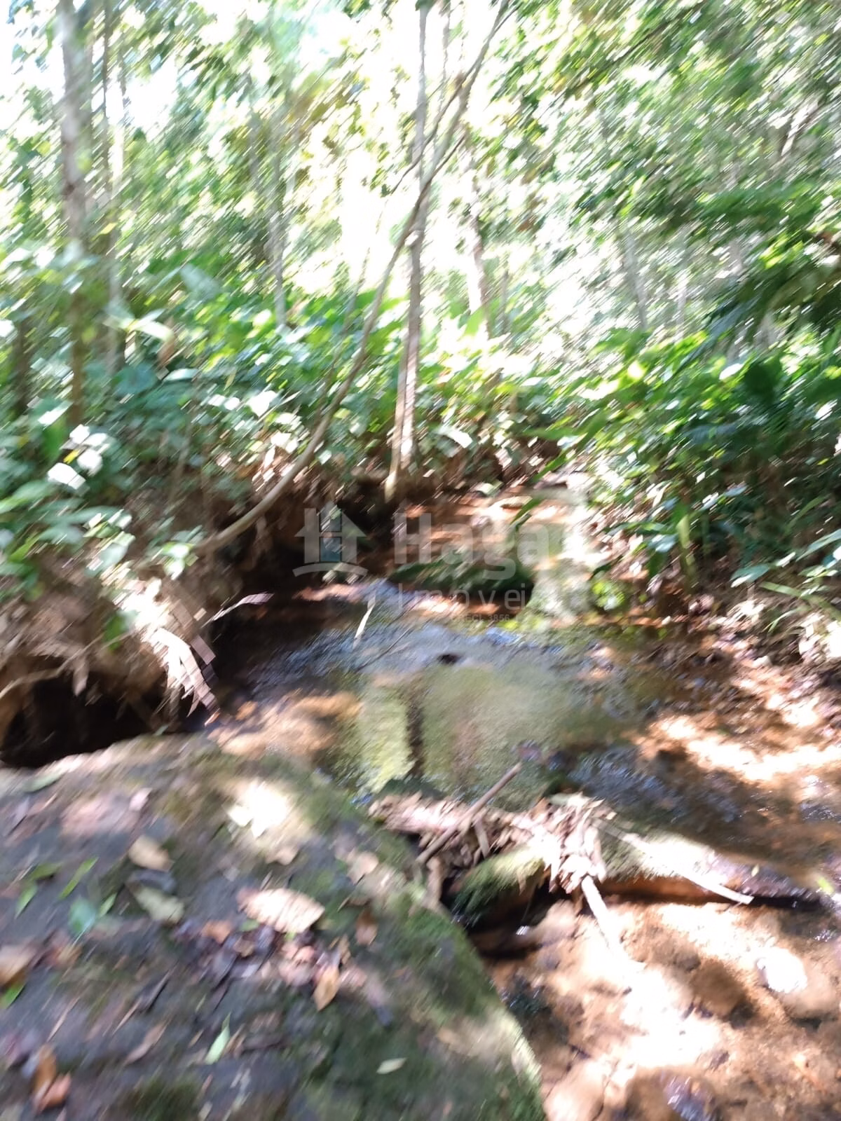 Farm of 4 acres in Itajaí, SC, Brazil