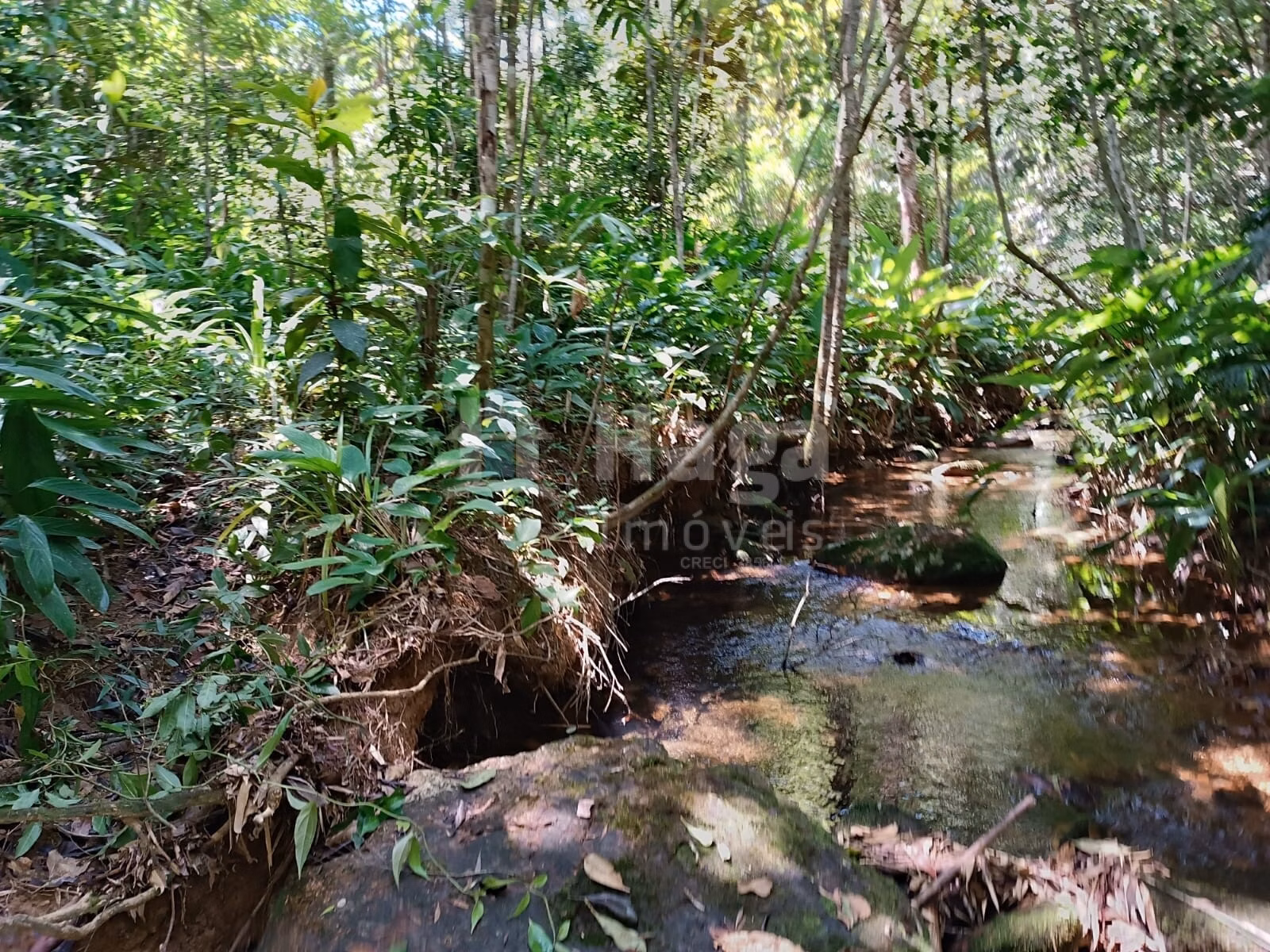 Fazenda de 2 ha em Itajaí, SC