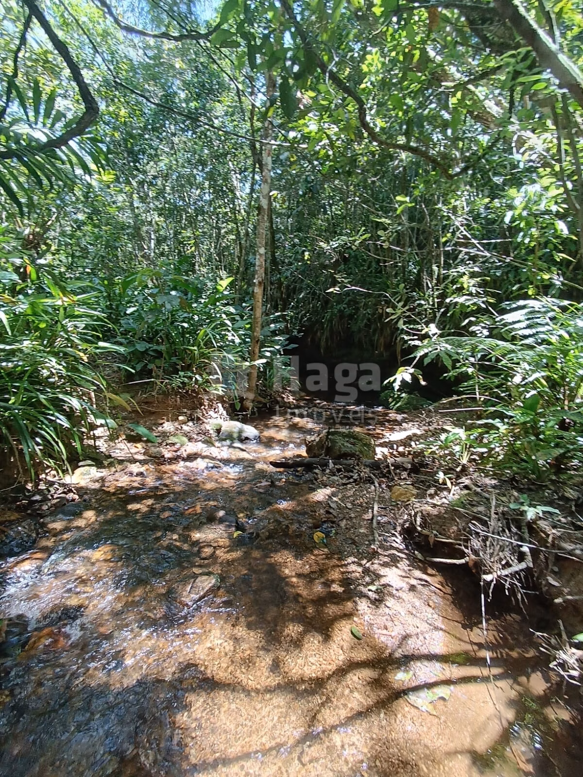 Farm of 4 acres in Itajaí, SC, Brazil