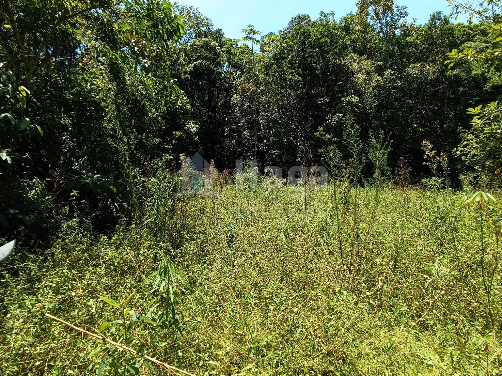 Farm of 4 acres in Itajaí, SC, Brazil