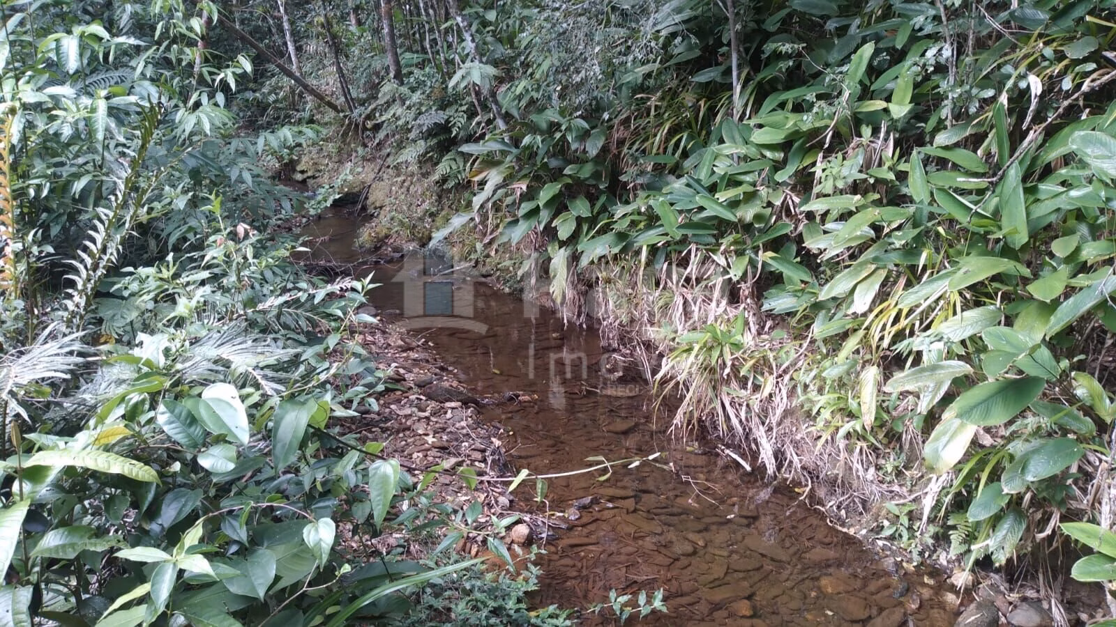 Farm of 4 acres in Itajaí, SC, Brazil