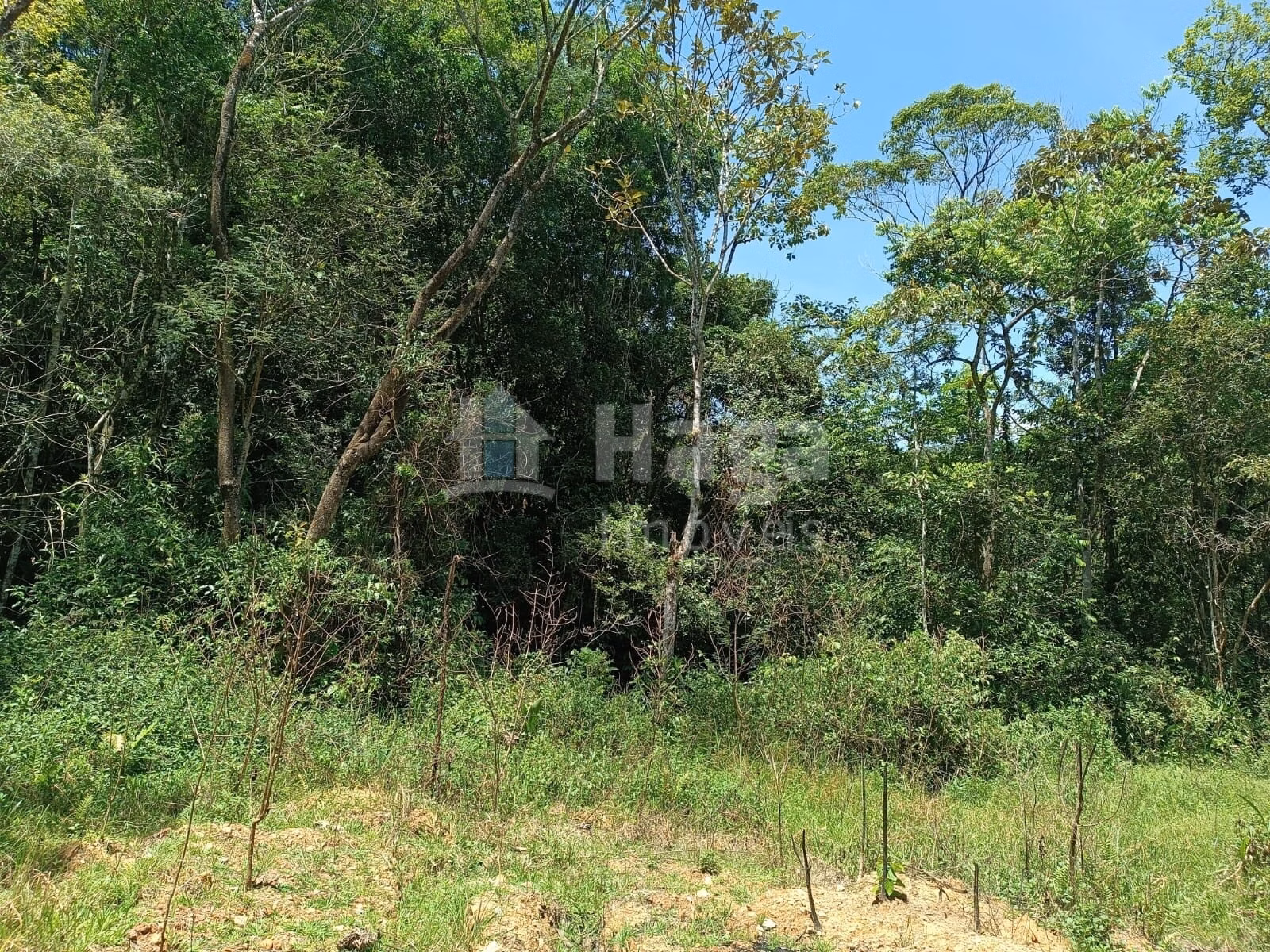 Farm of 4 acres in Itajaí, SC, Brazil