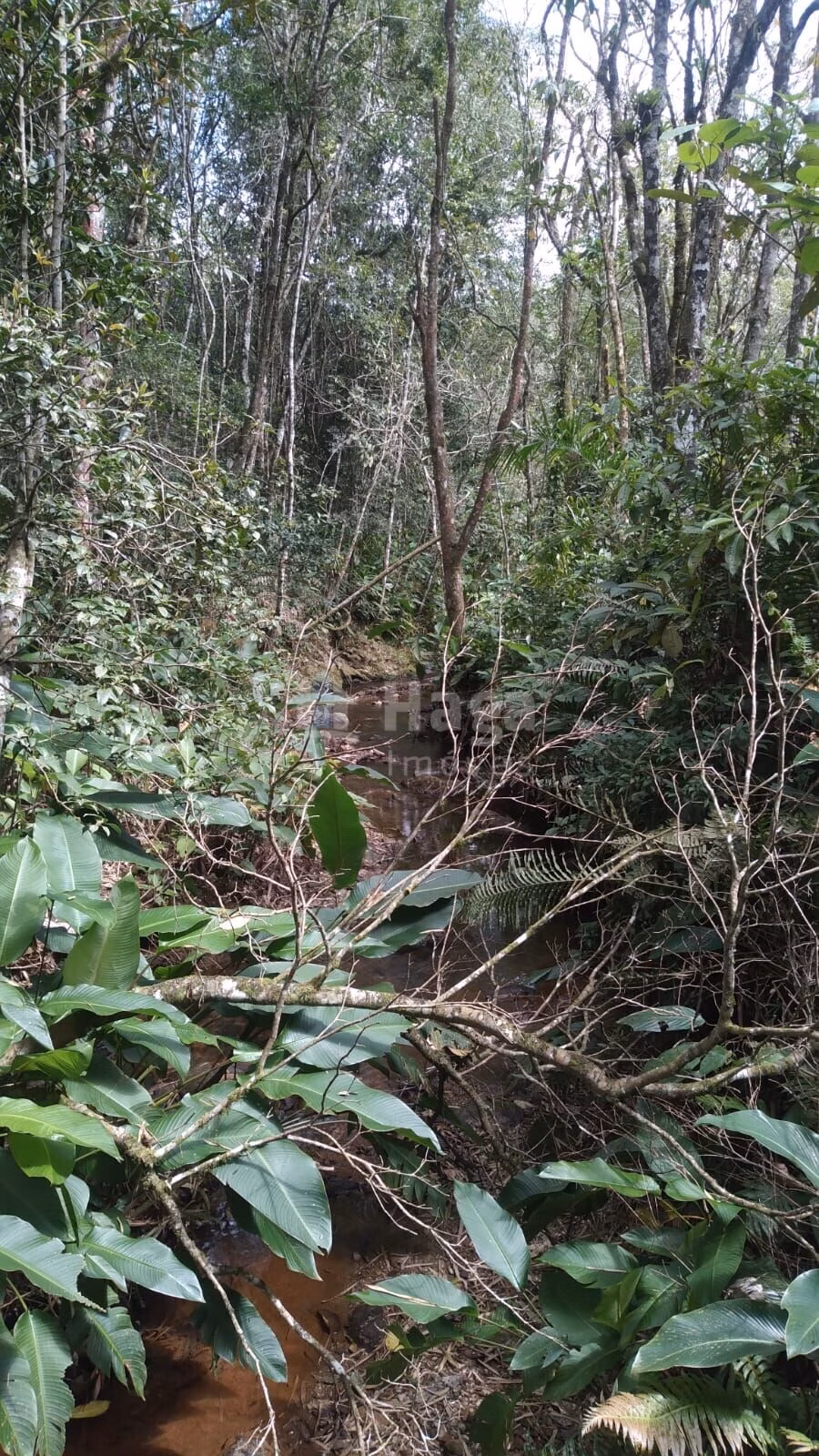 Farm of 4 acres in Itajaí, SC, Brazil