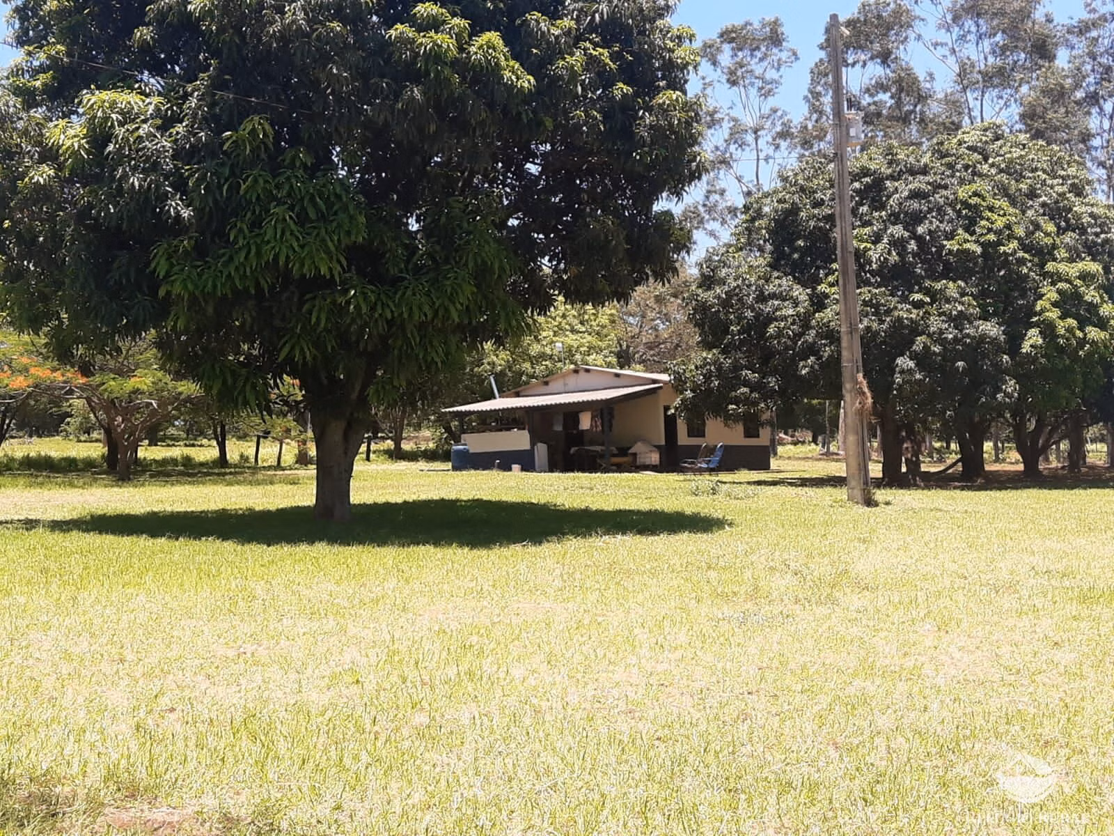 Fazenda de 773 ha em Figueirão, MS