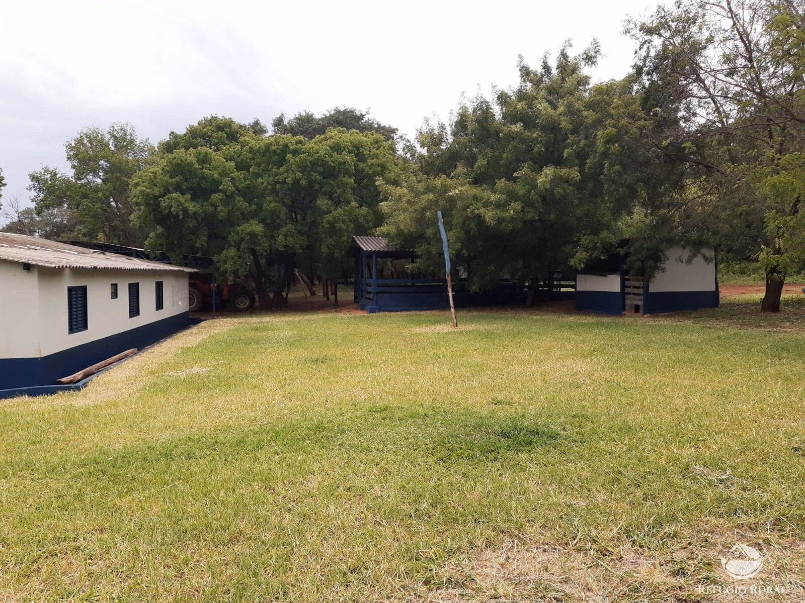 Fazenda de 773 ha em Figueirão, MS