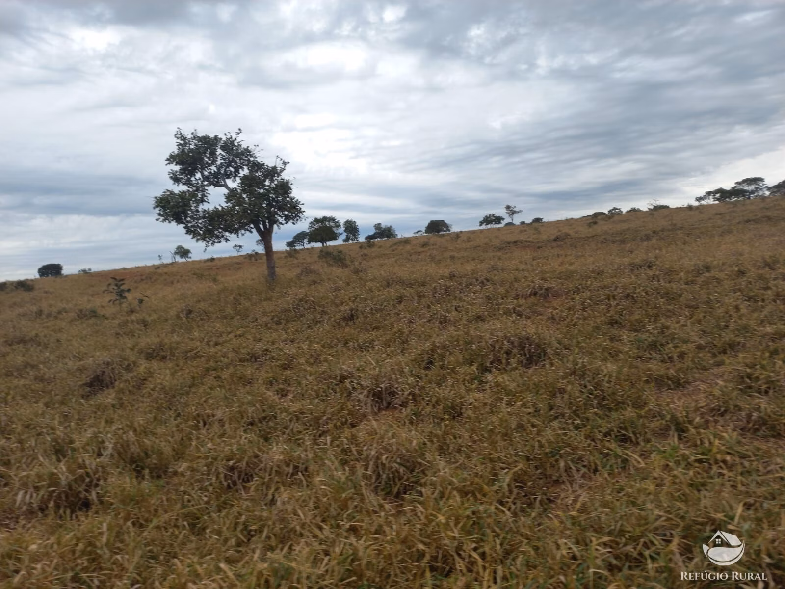 Fazenda de 773 ha em Figueirão, MS