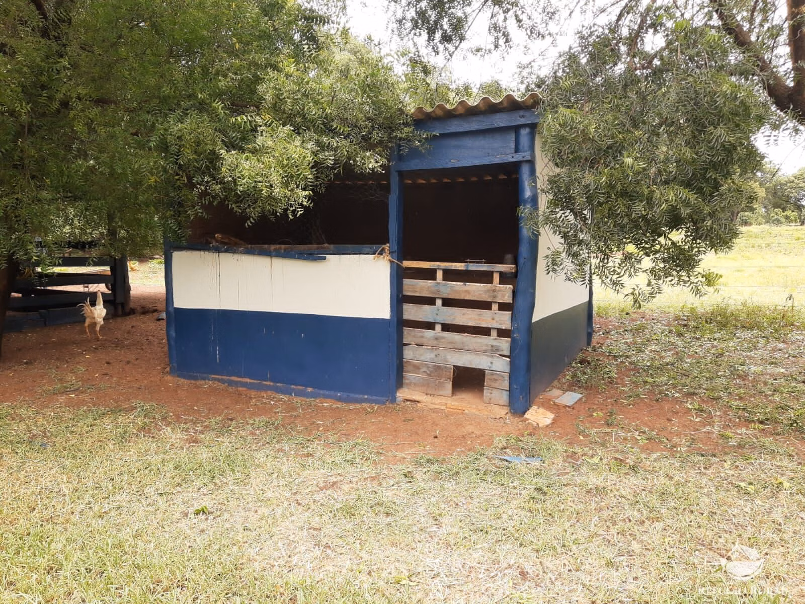 Fazenda de 773 ha em Figueirão, MS
