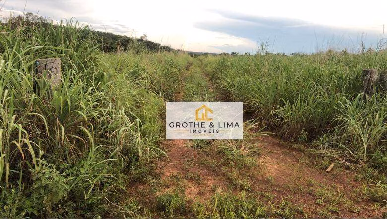 Farm of 25.738 acres in Paranatinga, MT, Brazil