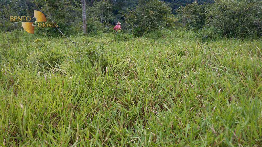 Fazenda de 1.750 ha em Nova Brasilândia, MT