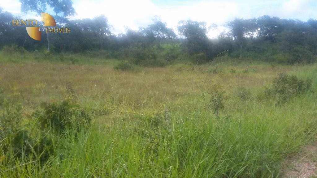 Fazenda de 1.750 ha em Nova Brasilândia, MT