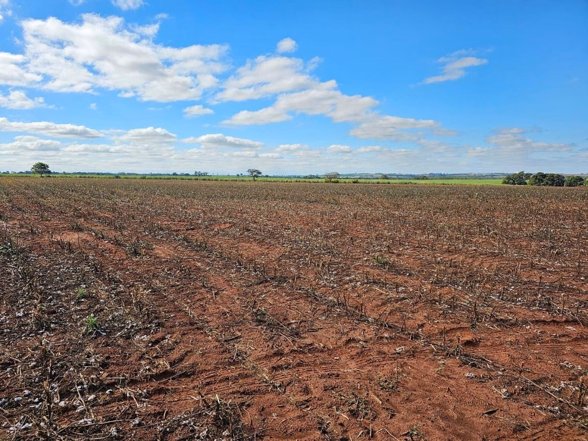 Fazenda à venda de 60 ha em Presidente Prudente, SP