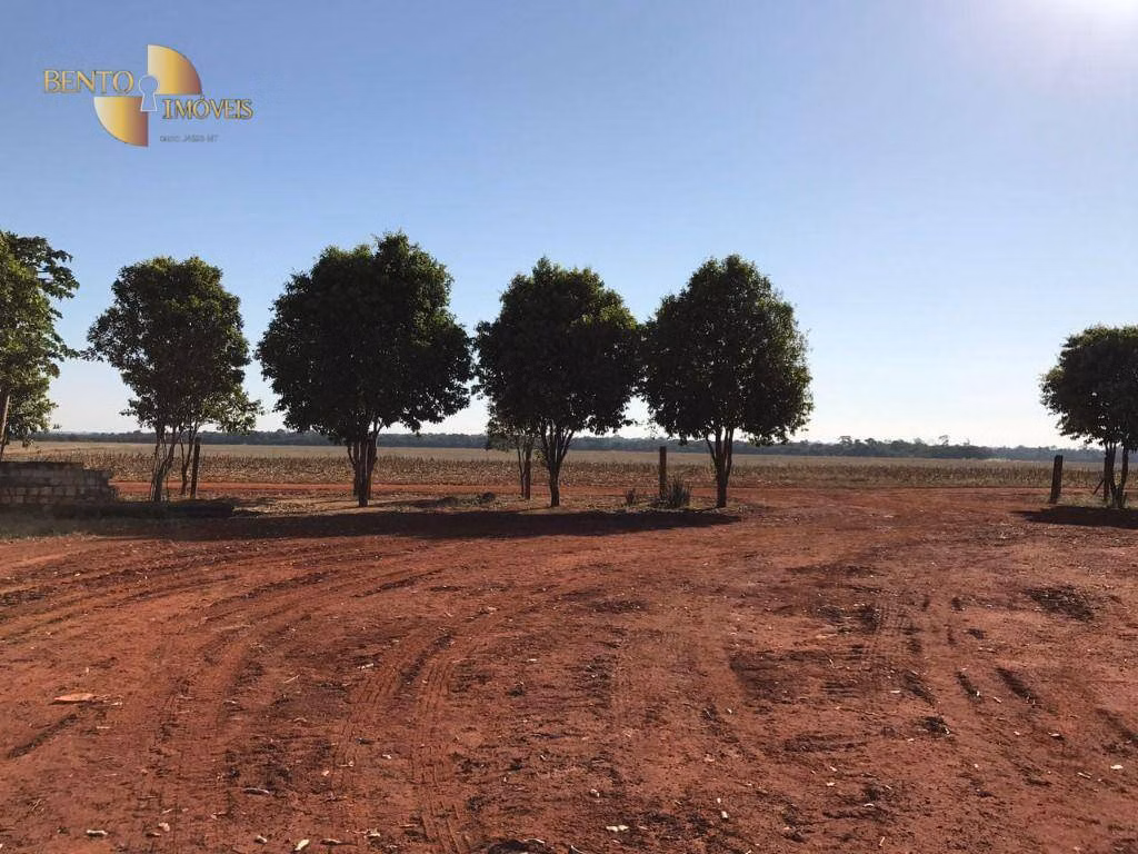 Farm of 19,316 acres in Paranatinga, MT, Brazil