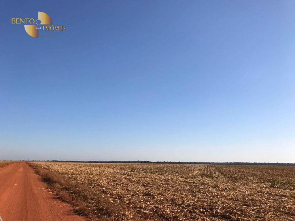 Farm of 19,316 acres in Paranatinga, MT, Brazil