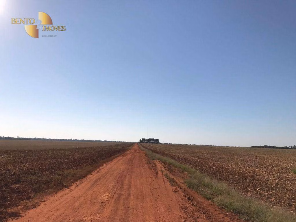 Farm of 19,316 acres in Paranatinga, MT, Brazil