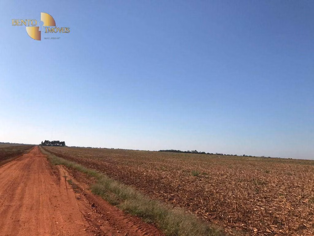 Farm of 19,316 acres in Paranatinga, MT, Brazil
