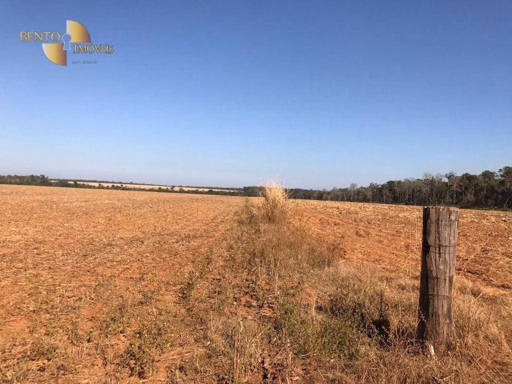 Farm of 19,316 acres in Paranatinga, MT, Brazil