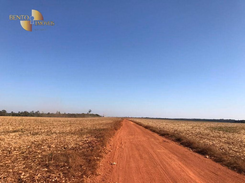 Farm of 19,316 acres in Paranatinga, MT, Brazil