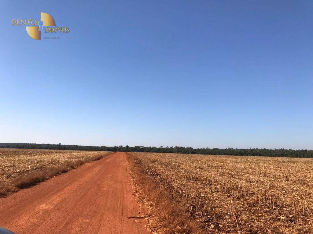 Farm of 19,316 acres in Paranatinga, MT, Brazil