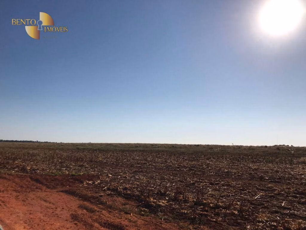 Farm of 19,316 acres in Paranatinga, MT, Brazil