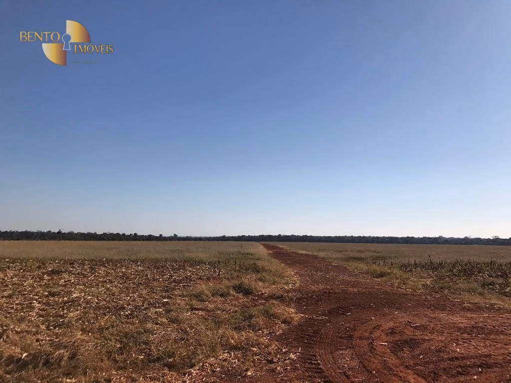 Fazenda de 7.817 ha em Paranatinga, MT